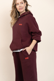 American Vintage |  Soft fleece hoodie Izubird | burgundy | Picture 4