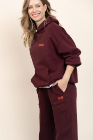American Vintage |  Soft fleece hoodie Izubird | burgundy | Picture 5