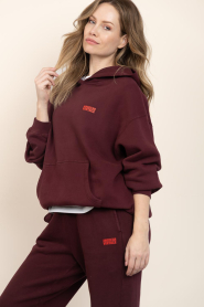 American Vintage |  Soft fleece hoodie Izubird | burgundy | Picture 6