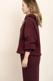 American Vintage |  Soft fleece hoodie Izubird | burgundy | Picture 7