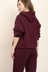 American Vintage |  Soft fleece hoodie Izubird | burgundy | Picture 8