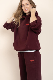 American Vintage |  Soft fleece hoodie Izubird | burgundy | Picture 9