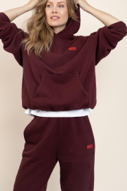 American Vintage |  Soft fleece hoodie Izubird | burgundy | Picture 10