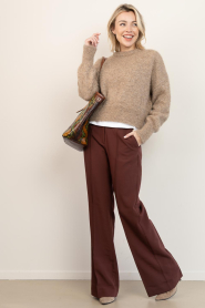 Aaiko |  Trousers with pleats Chantalle | brown | Picture 3