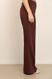 Aaiko |  Trousers with pleats Chantalle | brown | Picture 5