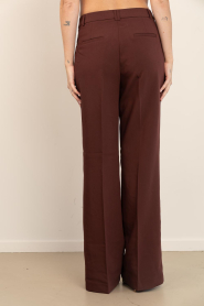 Aaiko |  Trousers with pleats Chantalle | brown | Picture 6