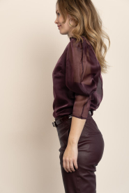 Dante6 |  Top with puffed sleeves Ocean | burgundy | Picture 7