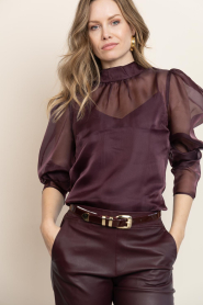 Dante6 |  Top with puffed sleeves Ocean | burgundy | Picture 5