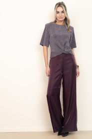 Dante6 |  Organza shiny trousers Olexa | burgundy | Picture 2