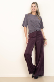 Dante6 |  Organza shiny trousers Olexa | burgundy | Picture 3