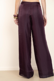 Dante6 |  Organza shiny trousers Olexa | burgundy | Picture 6