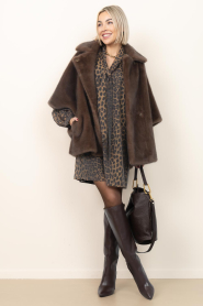 Dante6 |  Tencel mini dress with print Leigh | animal print | Picture 3