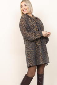 Dante6 |  Tencel mini dress with print Leigh | animal print | Picture 5