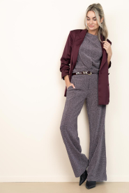 Dante6 |  Lurex pants Noemia | metallic | Picture 2