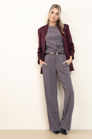 Dante6 |  Lurex pants Noemia | metallic | Picture 4