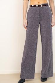 Dante6 |  Lurex pants Noemia | metallic | Picture 5