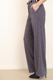 Dante6 |  Lurex pants Noemia | metallic | Picture 6