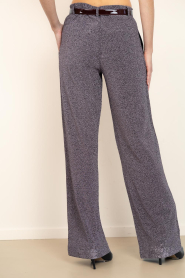 Dante6 |  Lurex pants Noemia | metallic | Picture 7