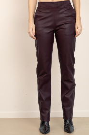 Dante6 |  Strethc leather pants Lova | bordeaux | Picture 5