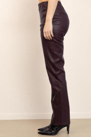 Dante6 |  Strethc leather pants Lova | bordeaux | Picture 6