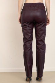 Dante6 |  Strethc leather pants Lova | bordeaux | Picture 7