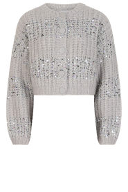 Dante6 |  Cardigan with sequins Juna | grey | Picture 1