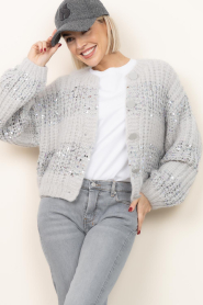 Dante6 |  Cardigan with sequins Juna | grey | Picture 2