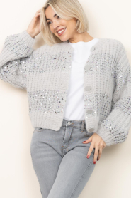 Dante6 |  Cardigan with sequins Juna | grey | Picture 5