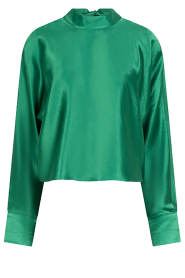 Dante6 |  Shiny top Lorelle | green | Picture 1