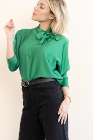 Dante6 |  Shiny top Lorelle | green | Picture 6