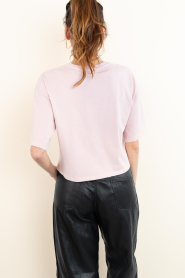 Dante6 :  Cotton T-shirt Cherry | pink - img7