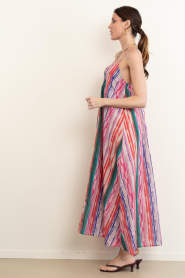 Lola Casademunt |  Striped maxi dress with lurex Rosa | multi | Picture 5