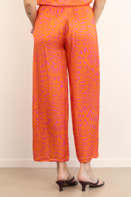 Lola Casademunt |  Wide leg pants with print Naranja | pink | Picture 6