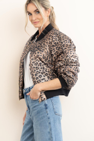 Janice :  Bomber jacket with leopard print Lexx | animal print - img6