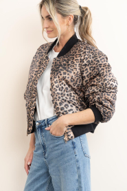 Janice :  Bomber jacket with leopard print Lexx | animal print - img7