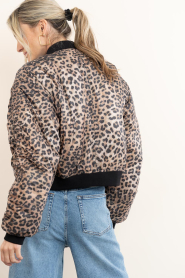 Janice :  Bomber jacket with leopard print Lexx | animal print - img8