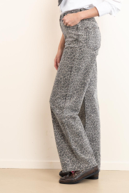 Janice :  Leopard print straight leg jeans Jason | animal print - img6