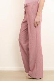 Aaiko |  Trousers with press fold Chantelle | pink  | Picture 6