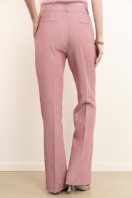 Aaiko |  Trousers with press fold Chantelle | pink  | Picture 7