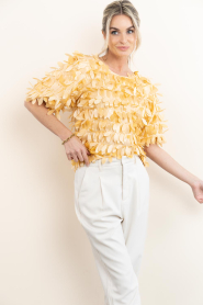 Aaiko |  Top with big sequins Angelina | yellow | Picture 2