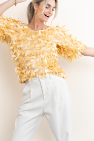 Aaiko |  Top with big sequins Angelina | yellow | Picture 4