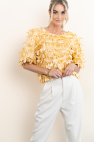Aaiko |  Top with big sequins Angelina | yellow | Picture 5