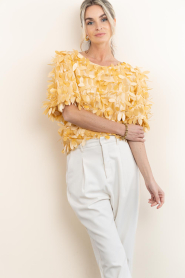 Aaiko |  Top with big sequins Angelina | yellow | Picture 6