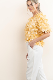 Aaiko |  Top with big sequins Angelina | yellow | Picture 7