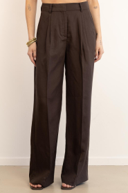Copenhagen Muse |  Lyocell trousers Natu | brown | Picture 4