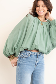 Devotion |  Cotton top Willow | green | Picture 4