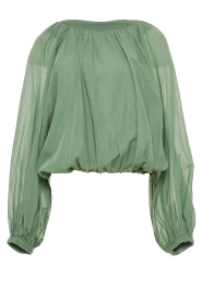 Devotion |  Cotton top Willow | green