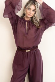 Devotion |  Transparant top Velvet | burgundy | Picture 2