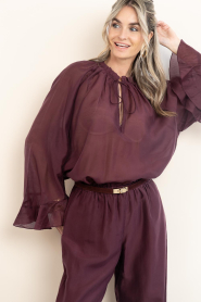 Devotion |  Transparant top Velvet | burgundy | Picture 4