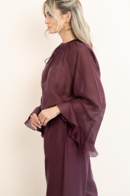 Devotion |  Transparant top Velvet | burgundy | Picture 8